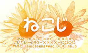 090327a.jpg