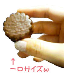 090404b.jpg