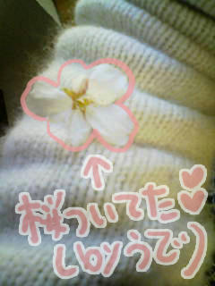 090408h.jpg
