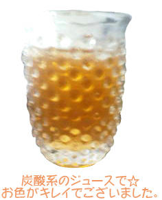 090421c.jpg