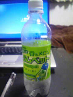 090511e.jpg