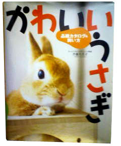 090520a.jpg