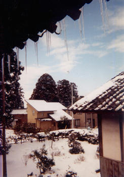 090709c.jpg