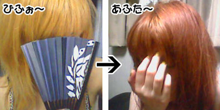 090808b.jpg