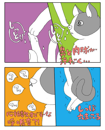 090813.jpg