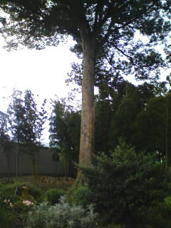 090815a.jpg