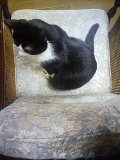 090910d.jpg