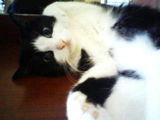 091204a.jpg