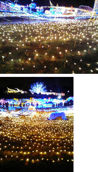091208c.jpg