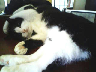 091223c.jpg