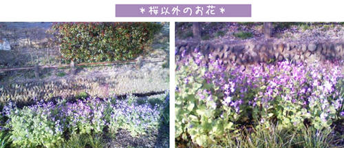 100409c.jpg