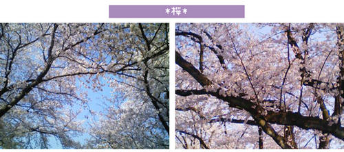 100409f.jpg
