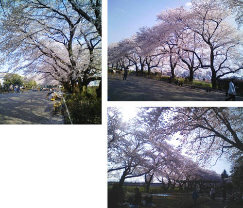 100409g.jpg