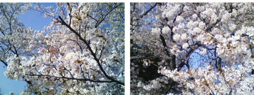 100409h.jpg