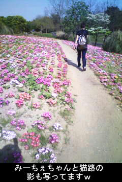 100510a.jpg
