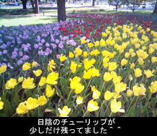 100510e.jpg