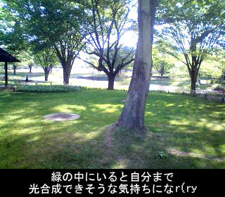 100510g.jpg