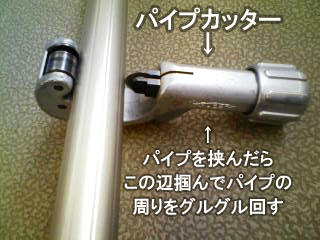 100613e.jpg