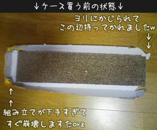 100707e.jpg