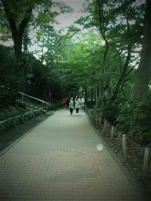 101104d.jpg