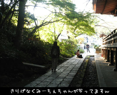 101107m.jpg