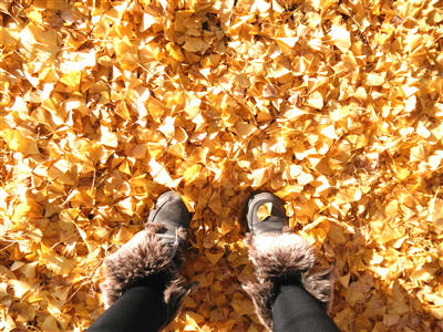 101119i.jpg