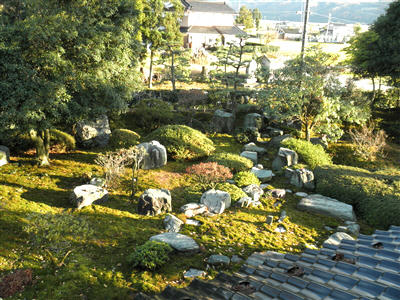 101128a.jpg