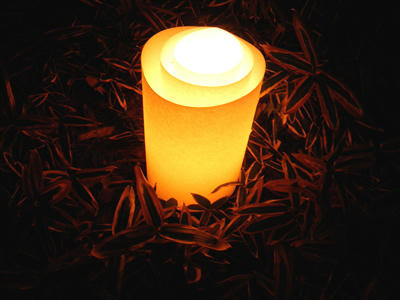 101205f.jpg