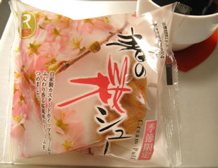 110308a.jpg