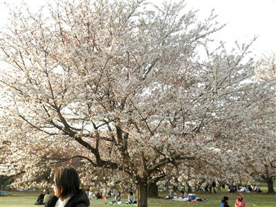 110416f.jpg