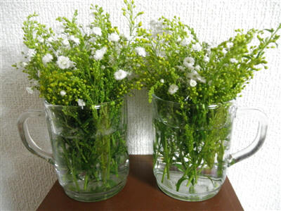 110524d.jpg