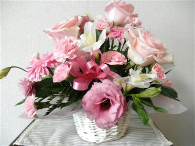 110529d.jpg