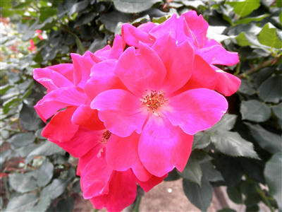 110611b.jpg