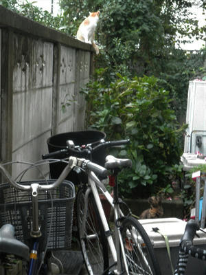 111023a.jpg