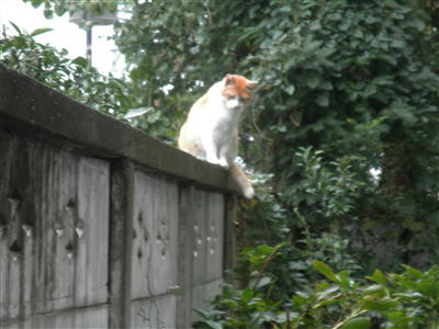 111023b.jpg