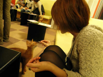 111025a.jpg