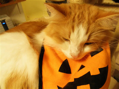 111028a.jpg