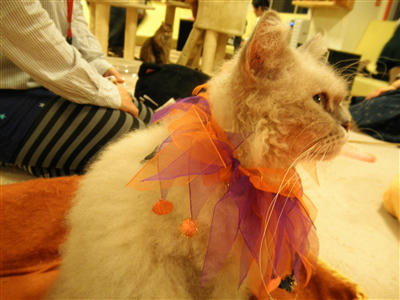 111028c.jpg