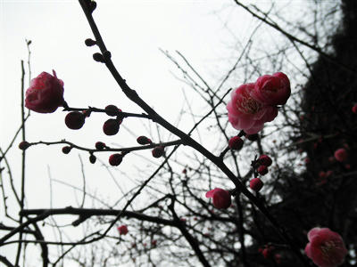 120228a.jpg