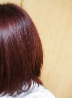 120305a.jpg