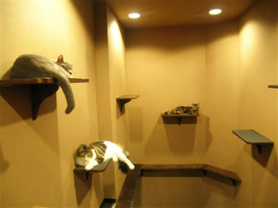120327a.jpg