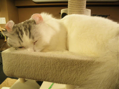 120329d.jpg