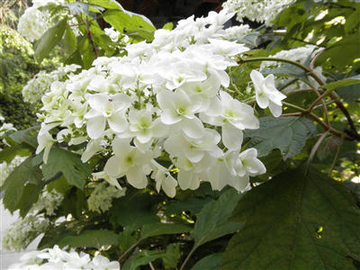 120617a.jpg