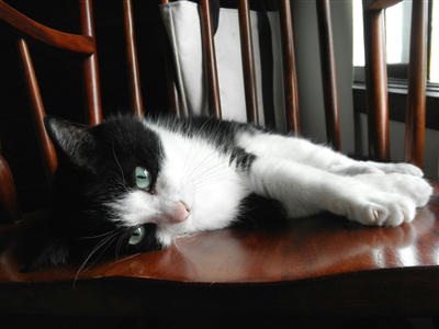 120813a.jpg
