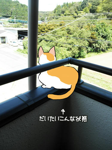 120910a.jpg