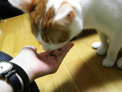 120927a.jpg