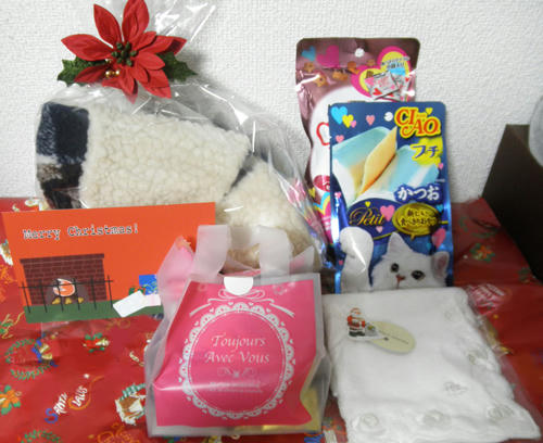 121226a.jpg