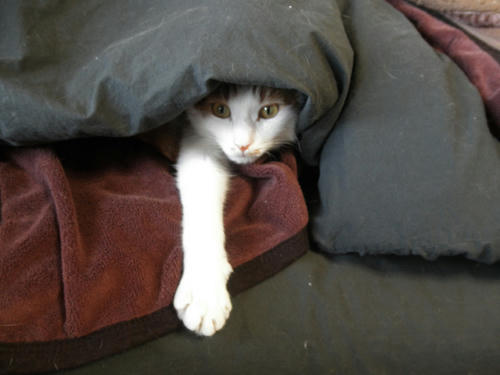 130212a.jpg