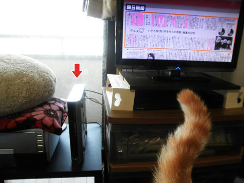 130322a.jpg