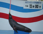 名前はナナちゃんって言ったっけなぁ？